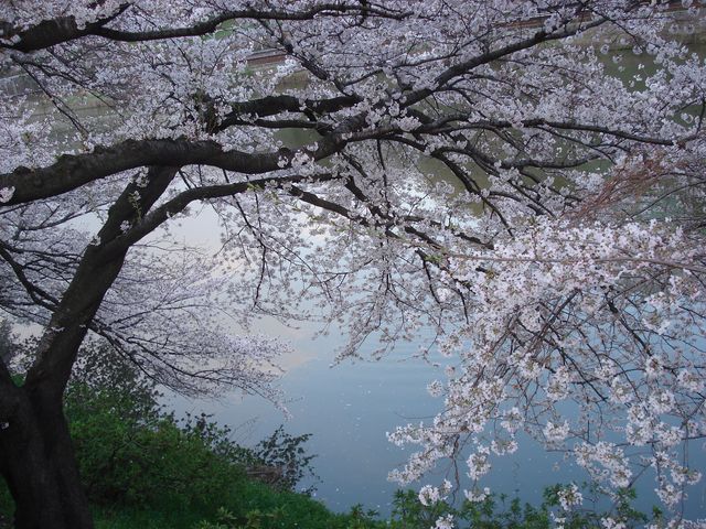b0148106_21445316.jpg