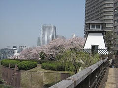 d0115106_13283627.jpg