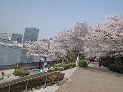 d0115106_13285794.jpg