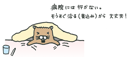 20100406.gif