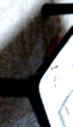 e0103408_13184169.gif