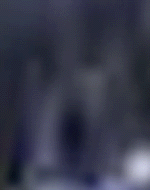 e0103408_13252798.gif