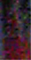 e0103408_13285656.gif