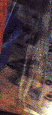 e0103408_13314641.gif
