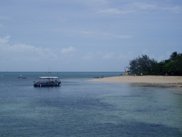 b0027009_20125866.jpg