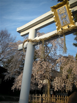 c0145209_23115232.jpg