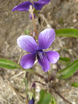 c0145209_23354333.jpg