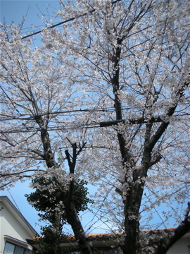 c0145209_23573151.jpg