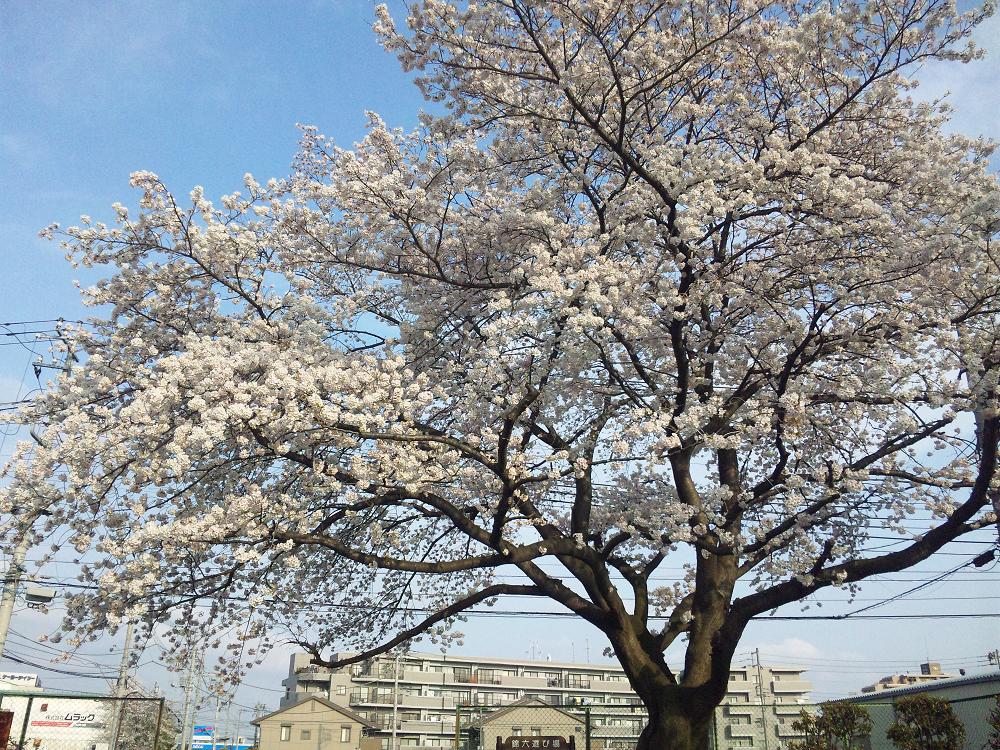 f0232910_21594675.jpg