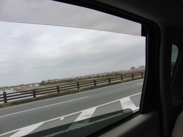 d0117011_721735.jpg