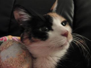 c0201113_19373435.jpg