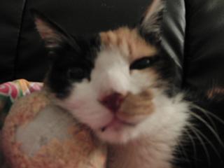 c0201113_19381781.jpg