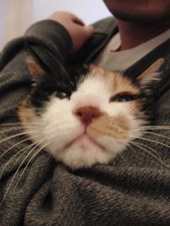 c0201113_19445860.jpg