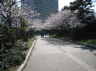 f0162414_17274983.jpg