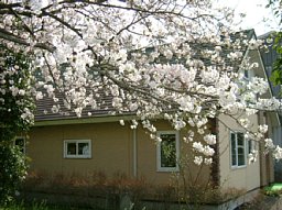 f0153115_2116550.jpg