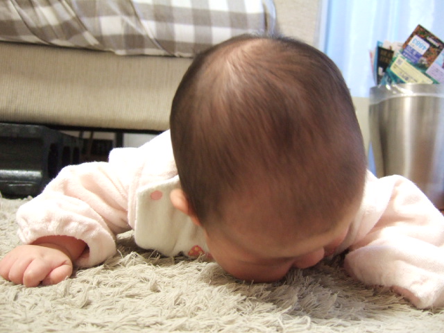 e0128816_20112936.jpg