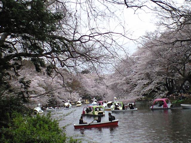 c0049919_057291.jpg