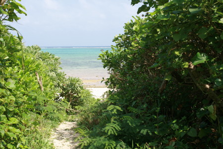 f0097620_083871.jpg