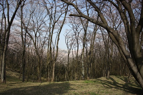 e0162524_1295065.jpg