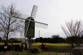 f0022024_9141279.jpg