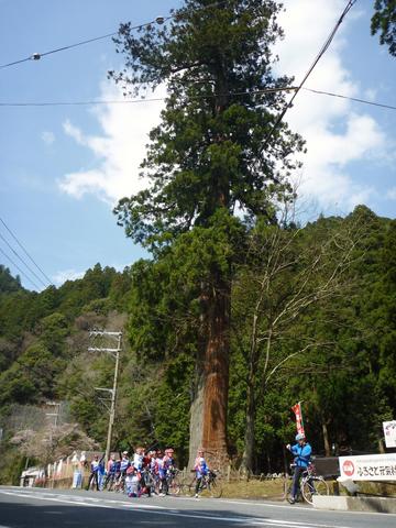 c0188525_2143191.jpg