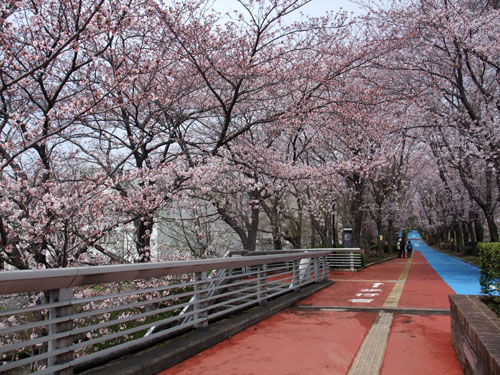 f0147025_1713421.jpg