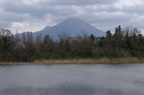f0007926_17153072.jpg