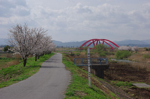 f0007926_1753435.jpg