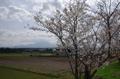 f0007926_1762045.jpg
