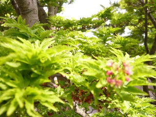 a0098027_1681134.jpg