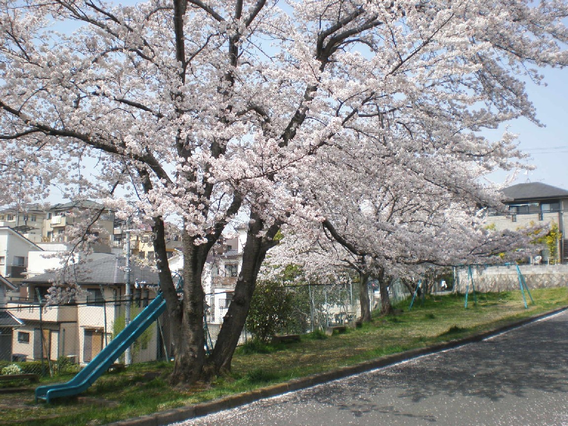 a0163227_12531819.jpg