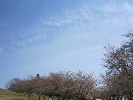 b0181027_194954.jpg