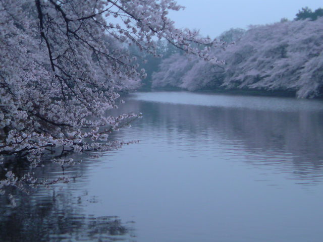e0016828_1051353.jpg