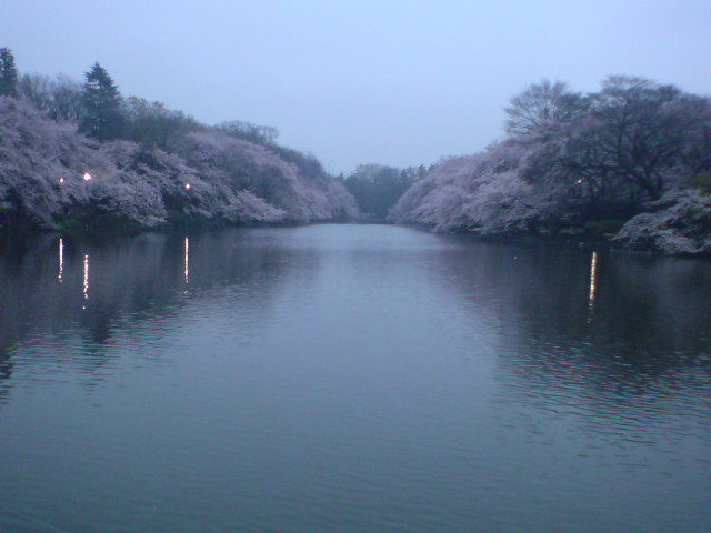 e0016828_105426.jpg