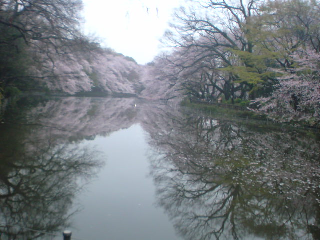 e0016828_1126885.jpg