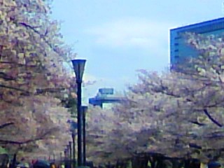 c0212929_131992.jpg