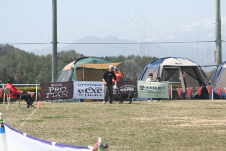 b0085331_1405674.jpg