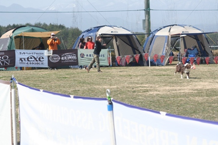 b0085331_141495.jpg
