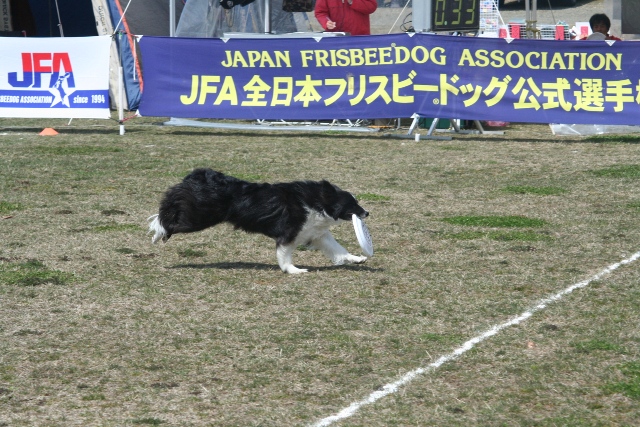 b0085331_14979.jpg