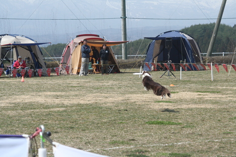 b0085331_22153225.jpg
