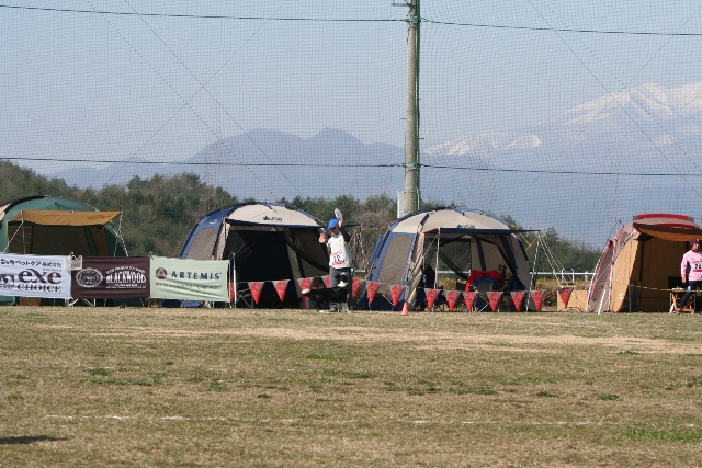 b0085331_22363413.jpg