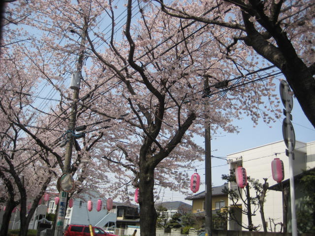 e0166032_230874.jpg