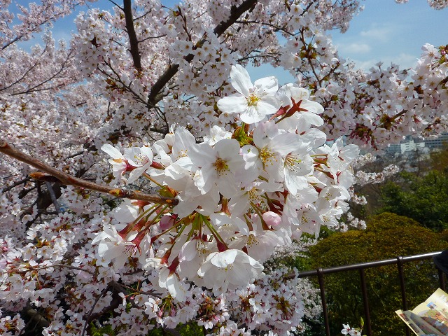 a0121134_20255067.jpg
