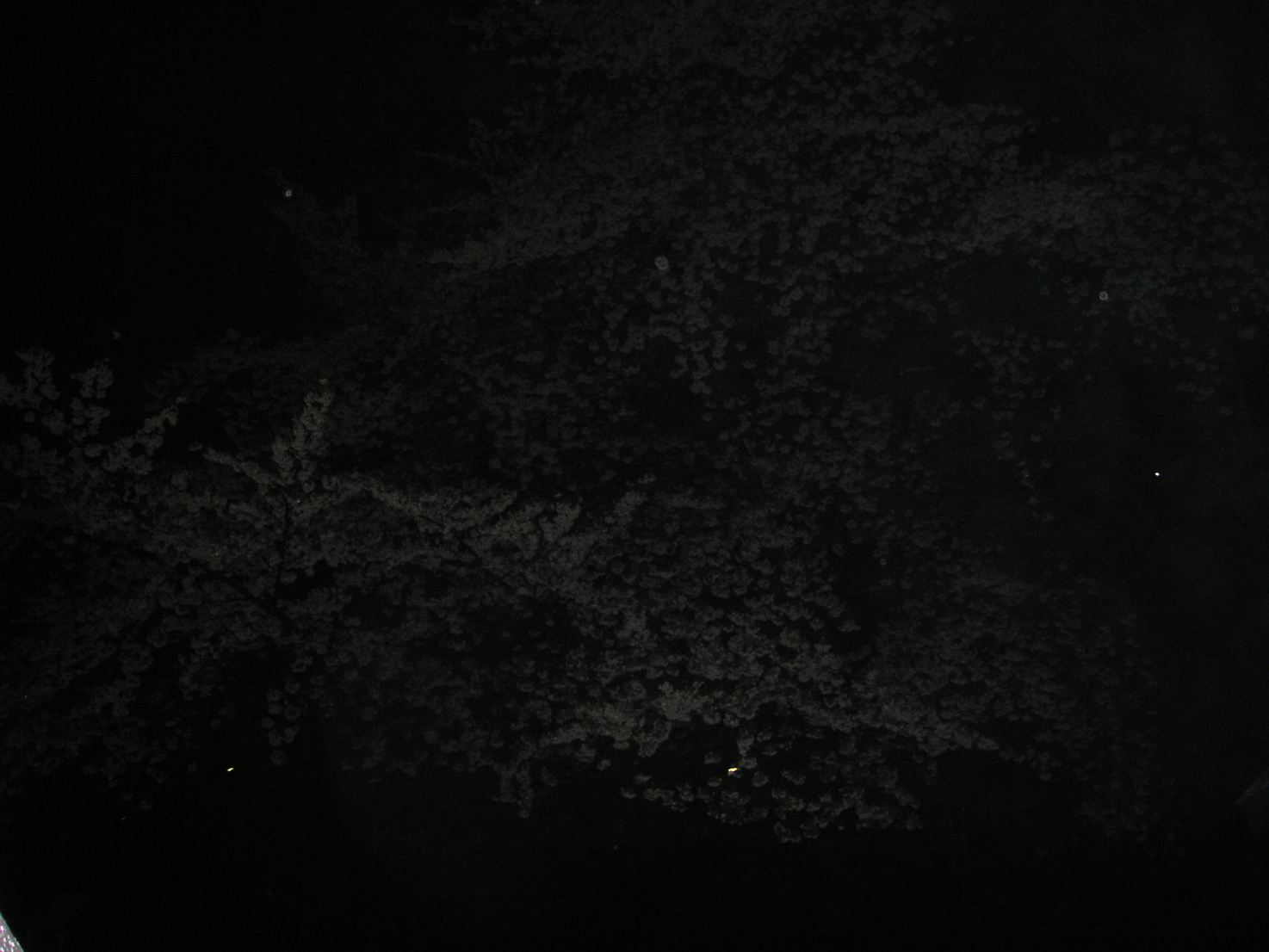 d0013834_1837293.jpg