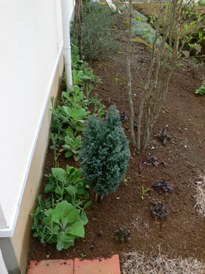 f0061334_22322086.jpg