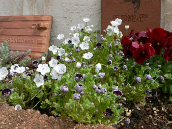 f0061334_22323786.jpg