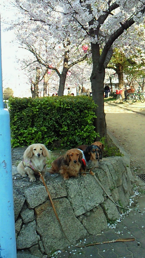 f0206134_42038100.jpg