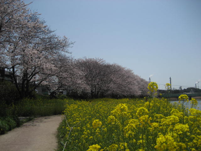 b0166435_0463261.jpg