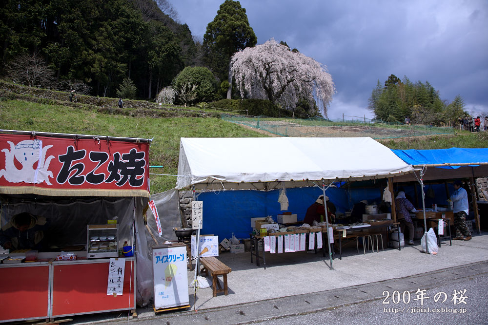 a0078341_02850.jpg