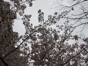 f0201741_22175275.jpg